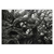 Marco-Chamorro-AYM047-rhizomes-erwan-quorum
