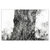 Marco-Chamorro-AYM049-rhizomes-riou-quorum