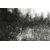 Marco_Chamorro_Rhizomes (3)