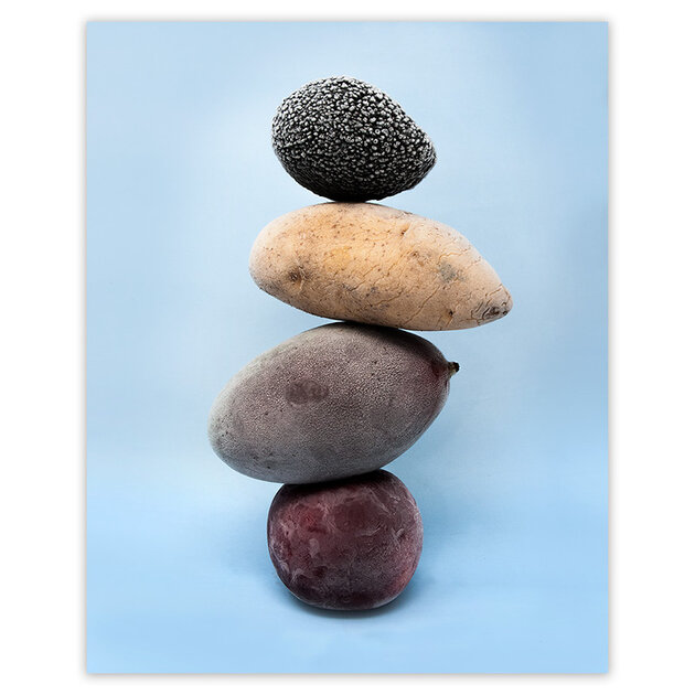 Photographie-Nature-Suspendu-Santiago-Carrera-Hahnemuhle-24x30-Quorum-CAS002