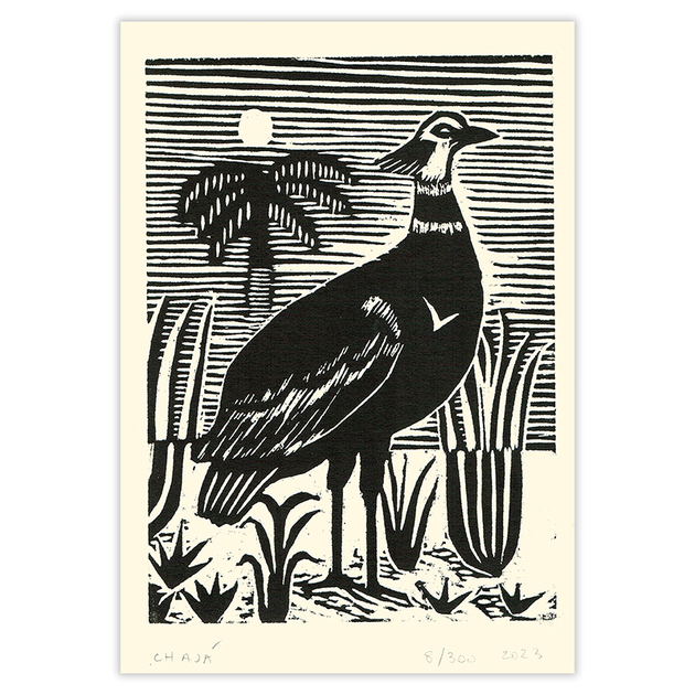 FDE062g-Gravure-Oiseau-Chaja-Fabrica-de-Estampa