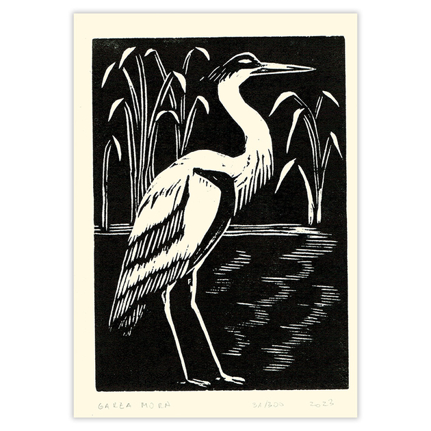FDE062d-Gravure-Oiseau-Garza-Mora-Fabrica-de-Estampa