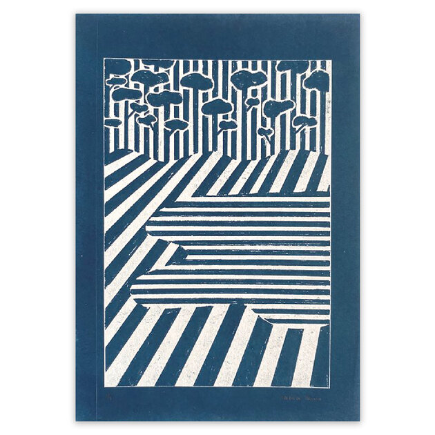 ARA001F Cyanotype The Lake serie lines Adelaide Aronio Quorum(1)