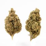 fleur-cbd-jack-herrer
