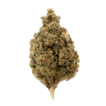 jack-herer-fleur-cbd-indoor