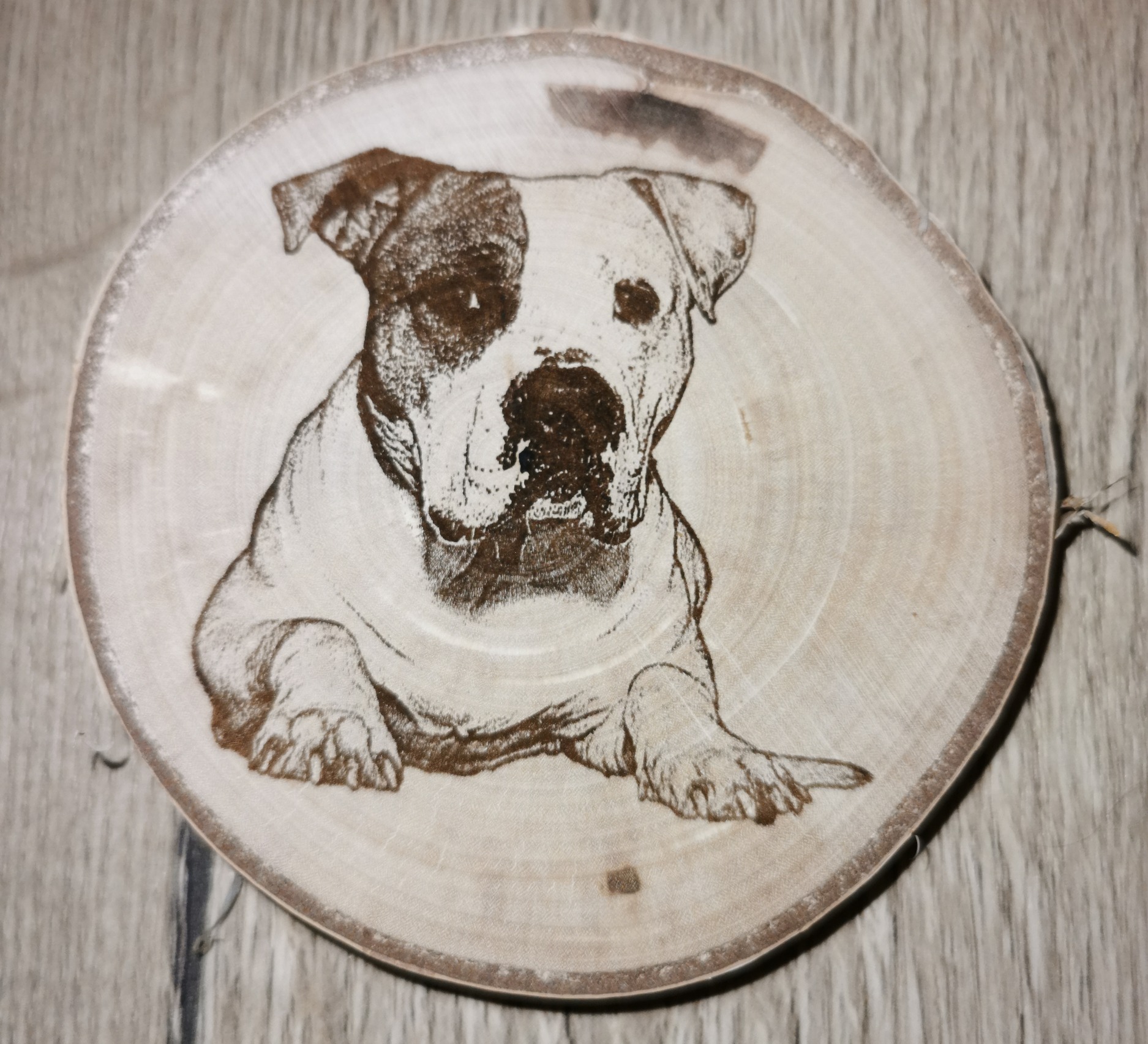 Galerie photos des produits réalisés par Concept'Laz