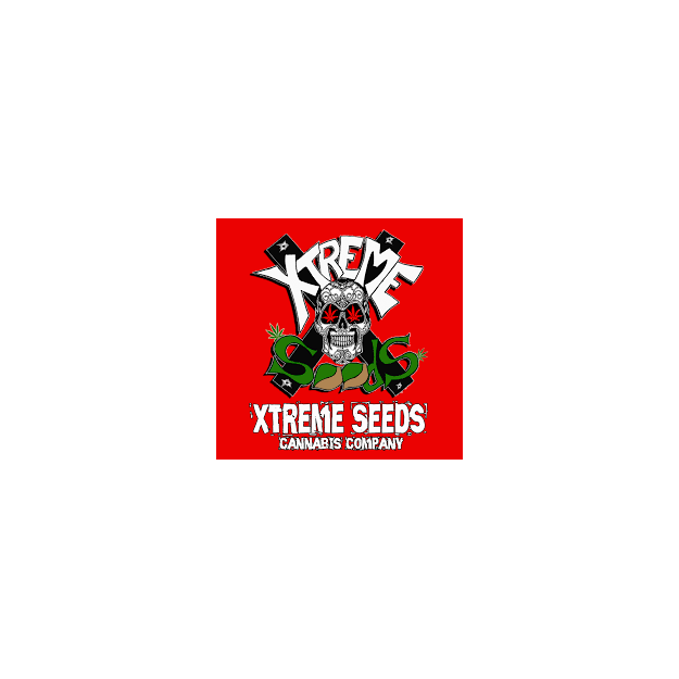 sour-ryder-s1-asb-xtreme-seeds