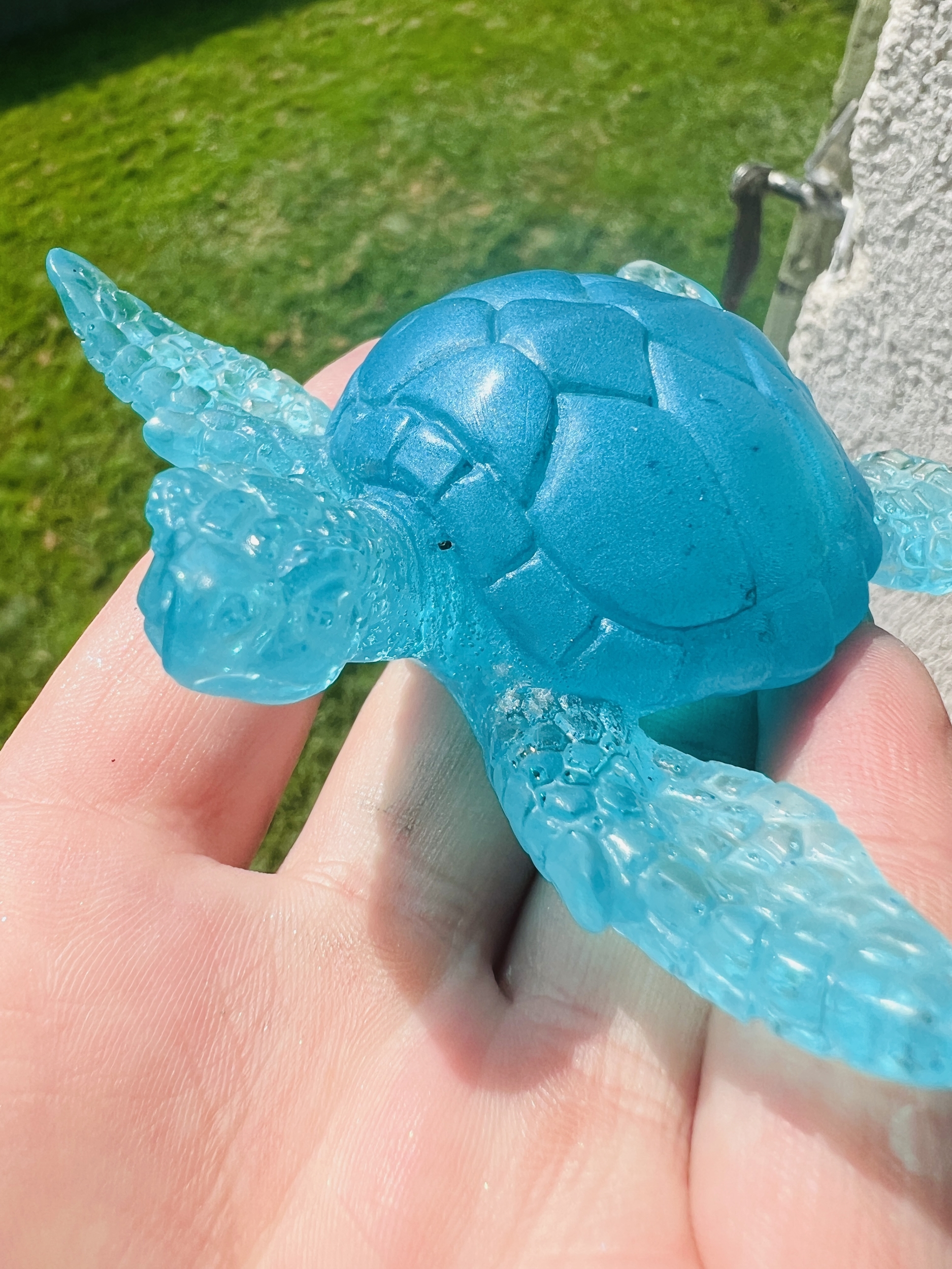 Tortue - Crystal Blue