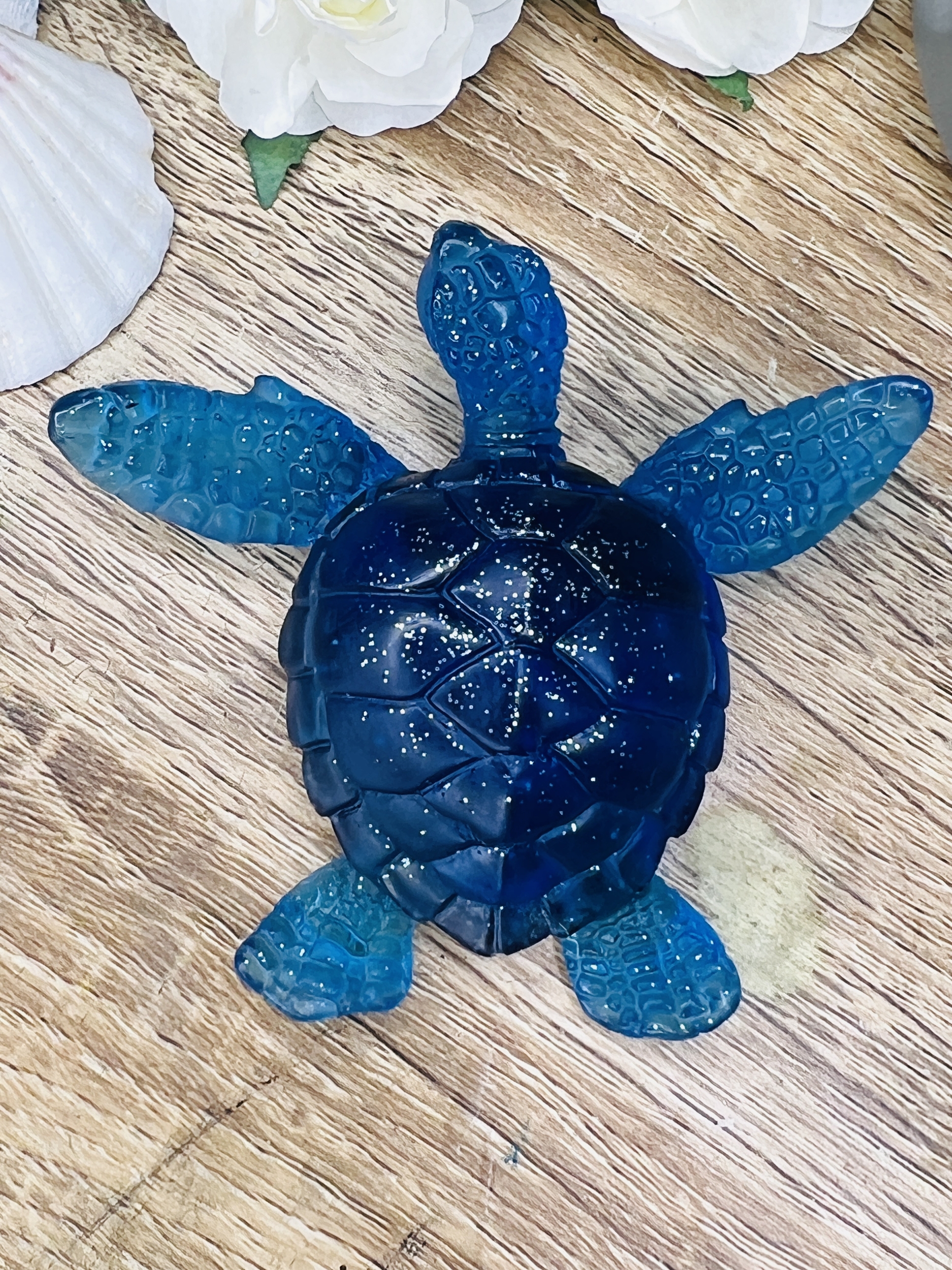 Tortue - Shadow