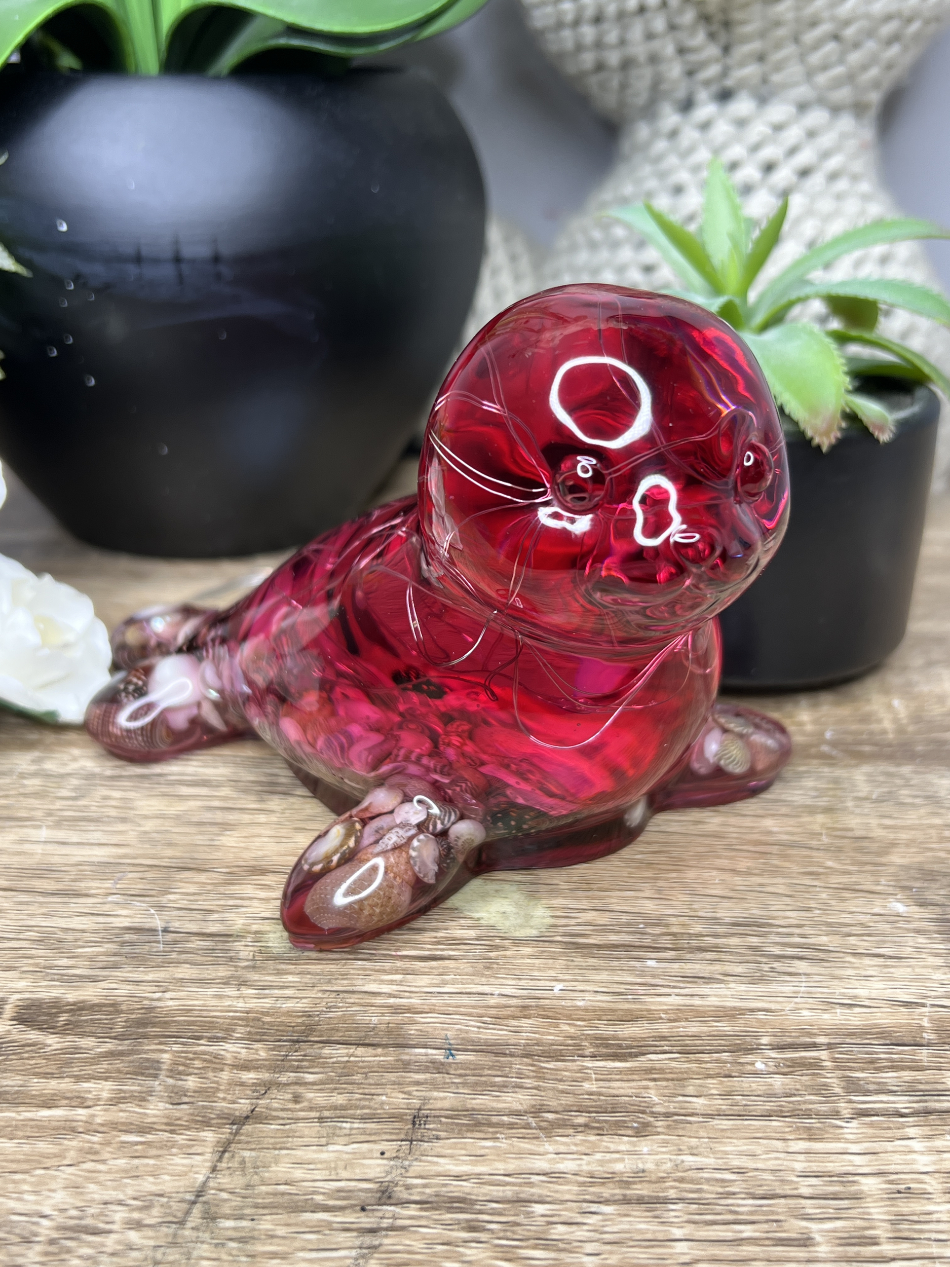 Otarie Lumineuse - Red Océan