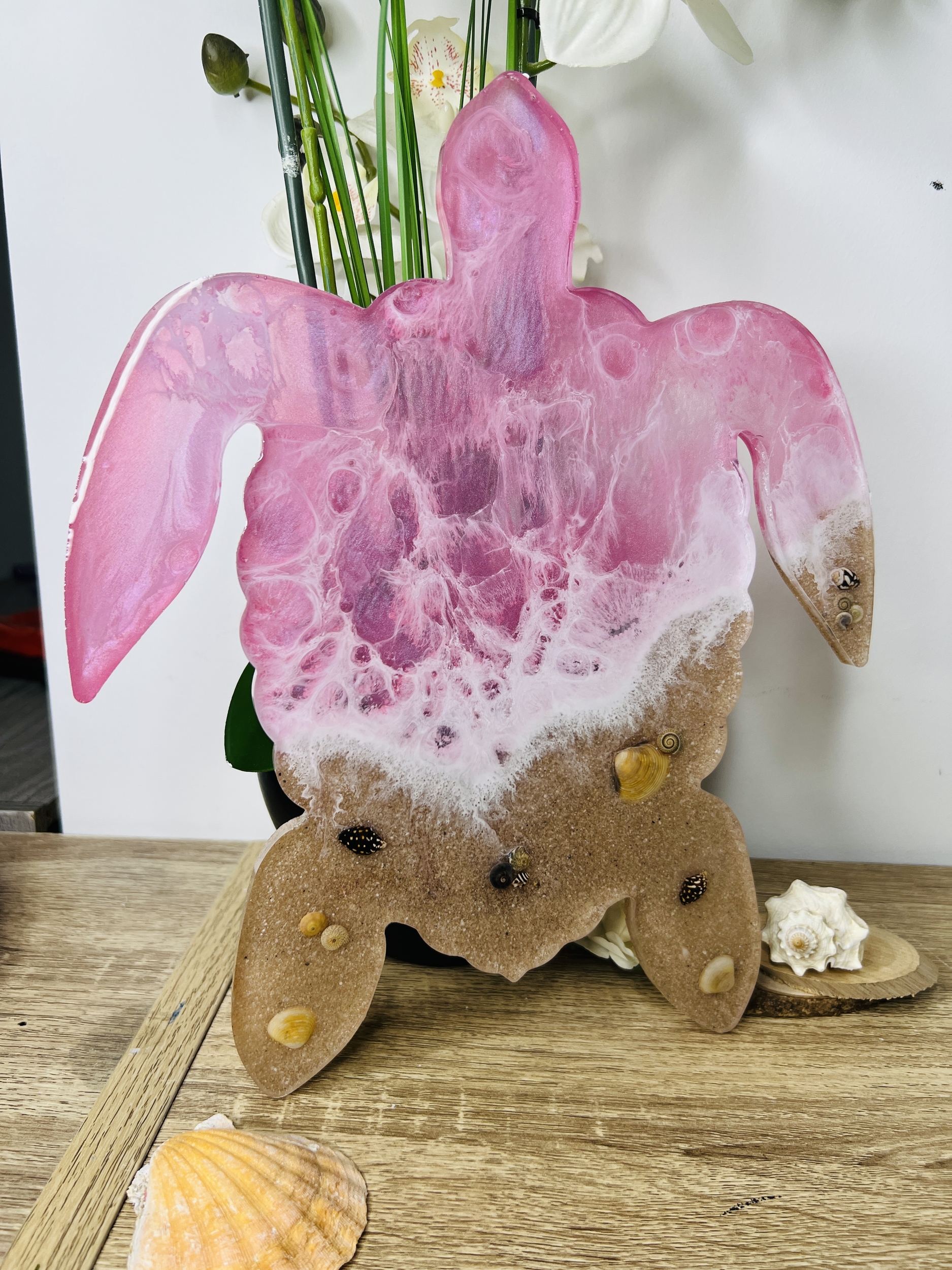 Plateau Tortue - Pink Beach