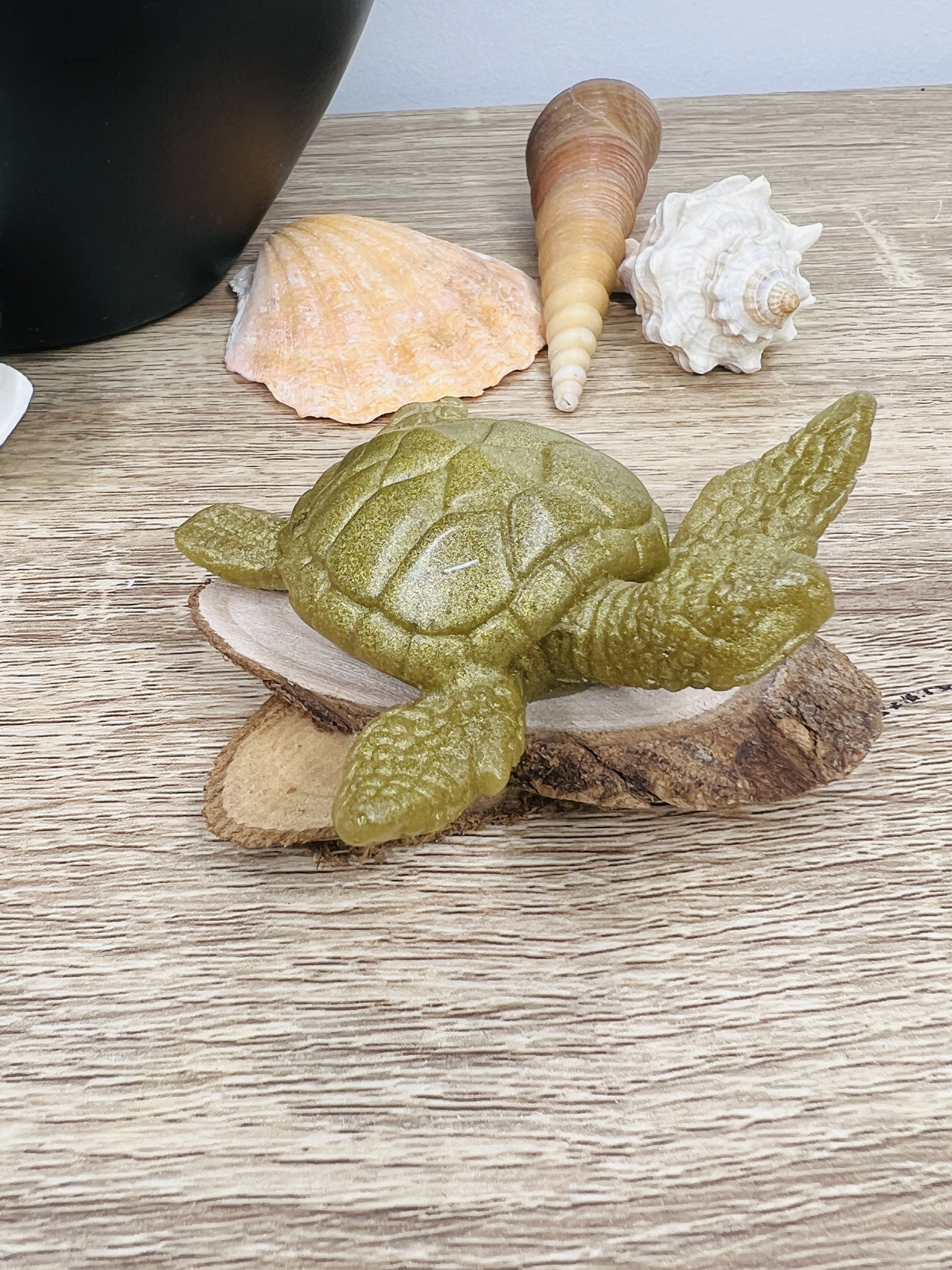 Tortue - Golden