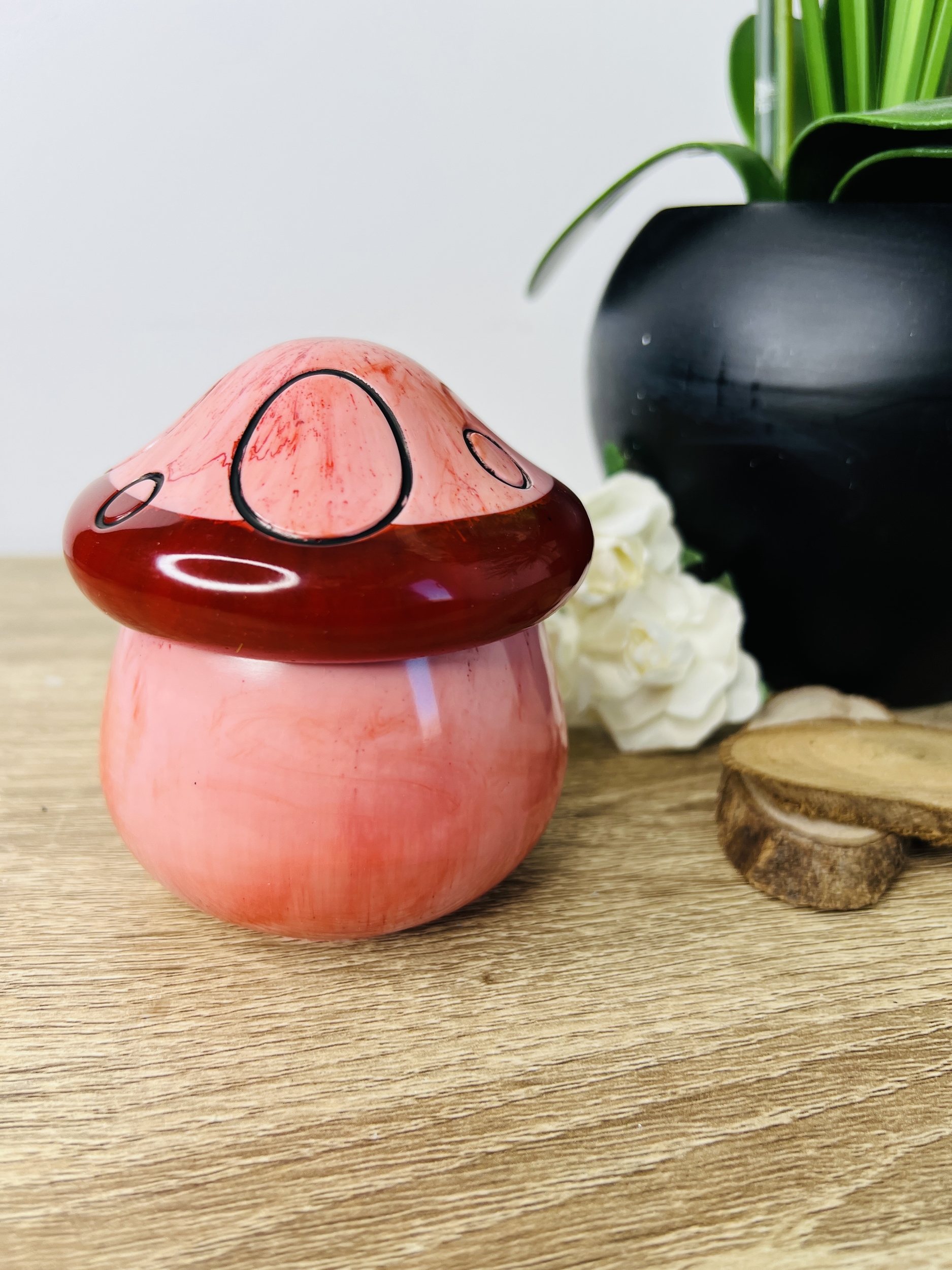 Boite Champignon - Cherry
