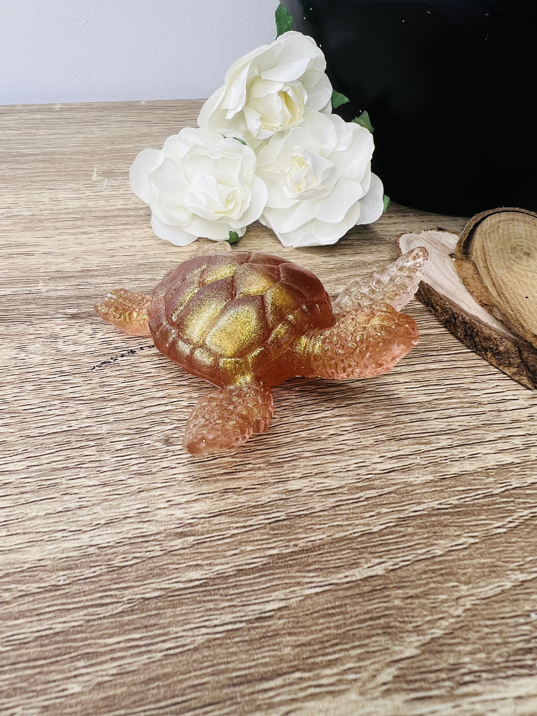 Tortue - Poussière Dorée