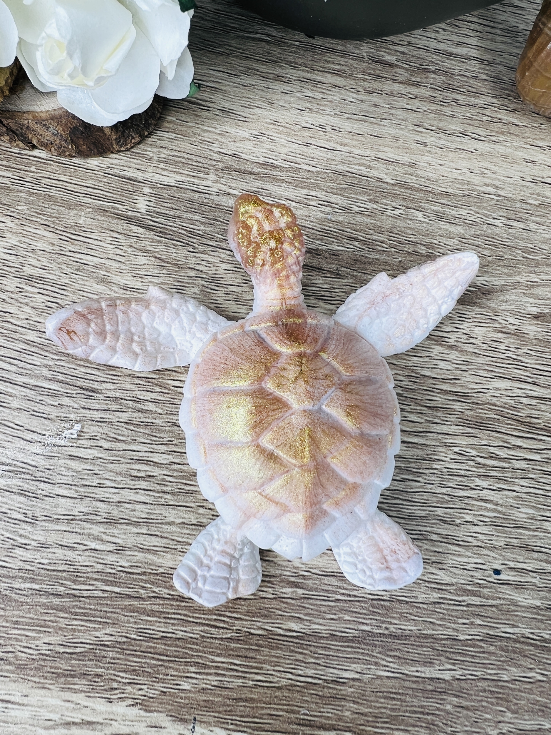 Tortue - Cosmos