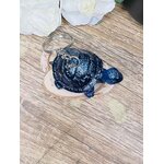 IMG_7958
