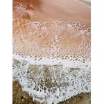 IMG_0795