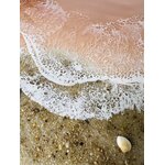 IMG_0794
