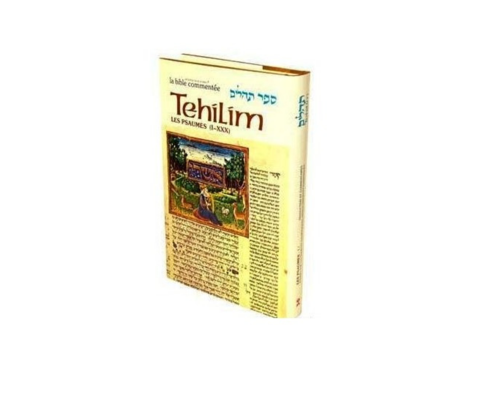 la-bible-commentee-tehilim-1-anaelle-judaica