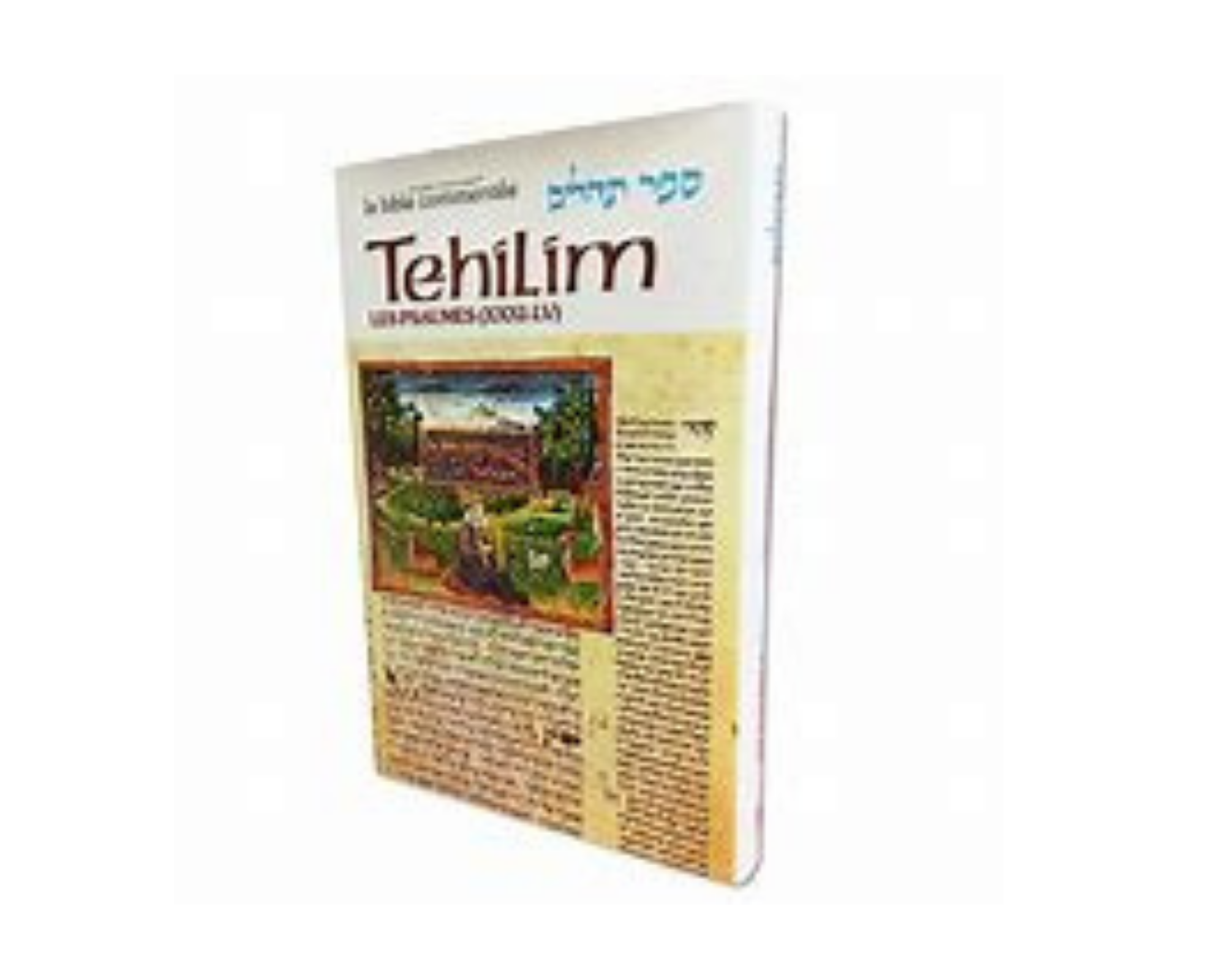 la-bible-commentee-tehilim-2-anaelle-judaica