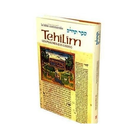 la-bible-tehilim-3-colbo-anaelle-judaica