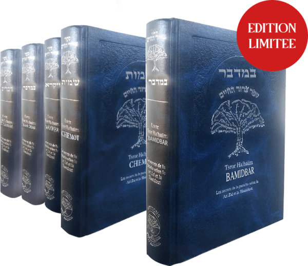 tsror-hahaim-bamidbar-anaelle-judaica