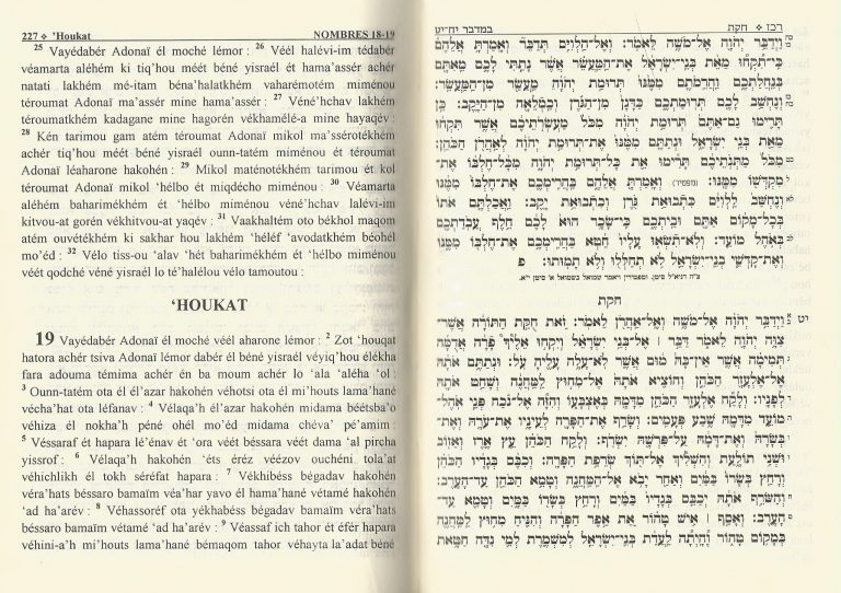 pentateuqe-phonetique-anaelle-judaica