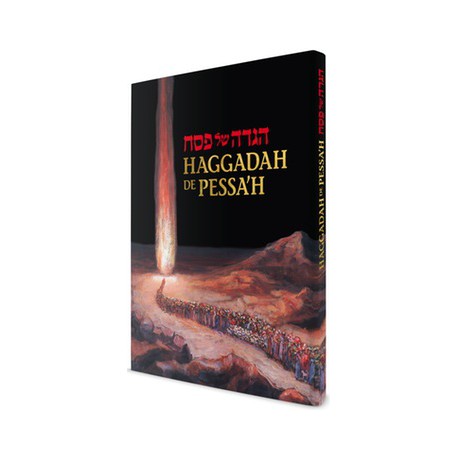 haggadah-de-pessah-habad-anaelle-judaica