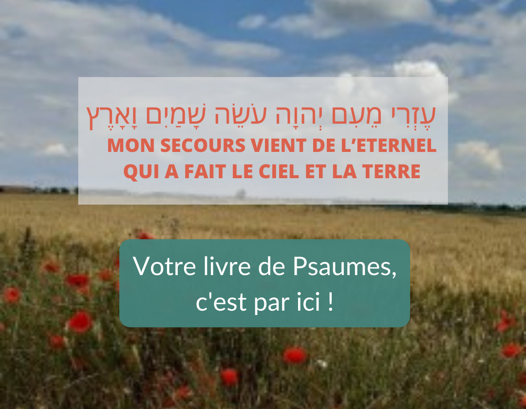 decouvrez notre selection pour roch achana yom kipour et souccoth 12