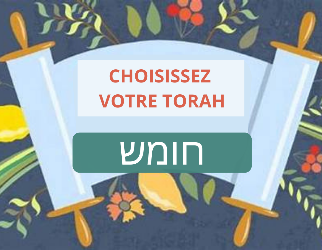 decouvrez notre selection pour roch achana yom kipour et souccoth 25