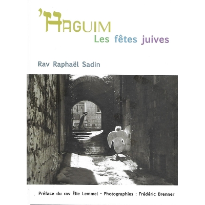 les-fêtes-juives-haguim-anaelle-judaica
