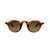 davids T2