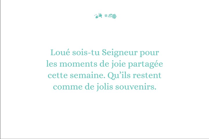 MM28262_50 petites louanges à piocher (3)