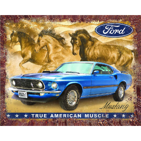 Buy wholesale Ford Mustang A metal plate