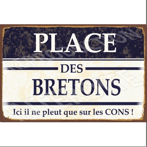 place des bretons 20x30