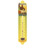 thermometre-tirailleur-banania
