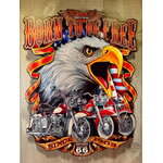 plaque métal déco aigle usa route 66