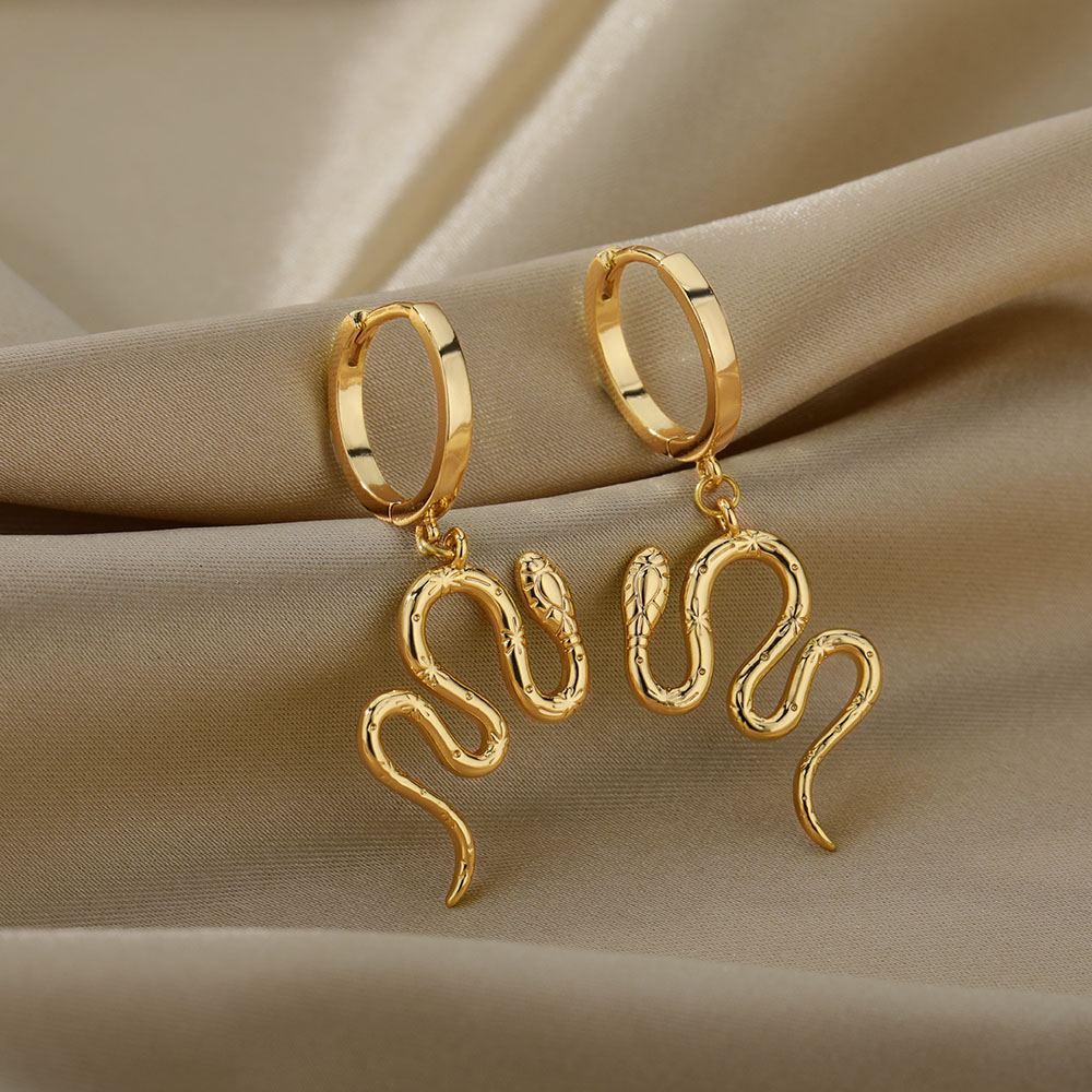 Boucles-d-oreilles-en-forme-de-serpent-pour-Femme-en-acier-inoxydable-en-forme-de-goutte