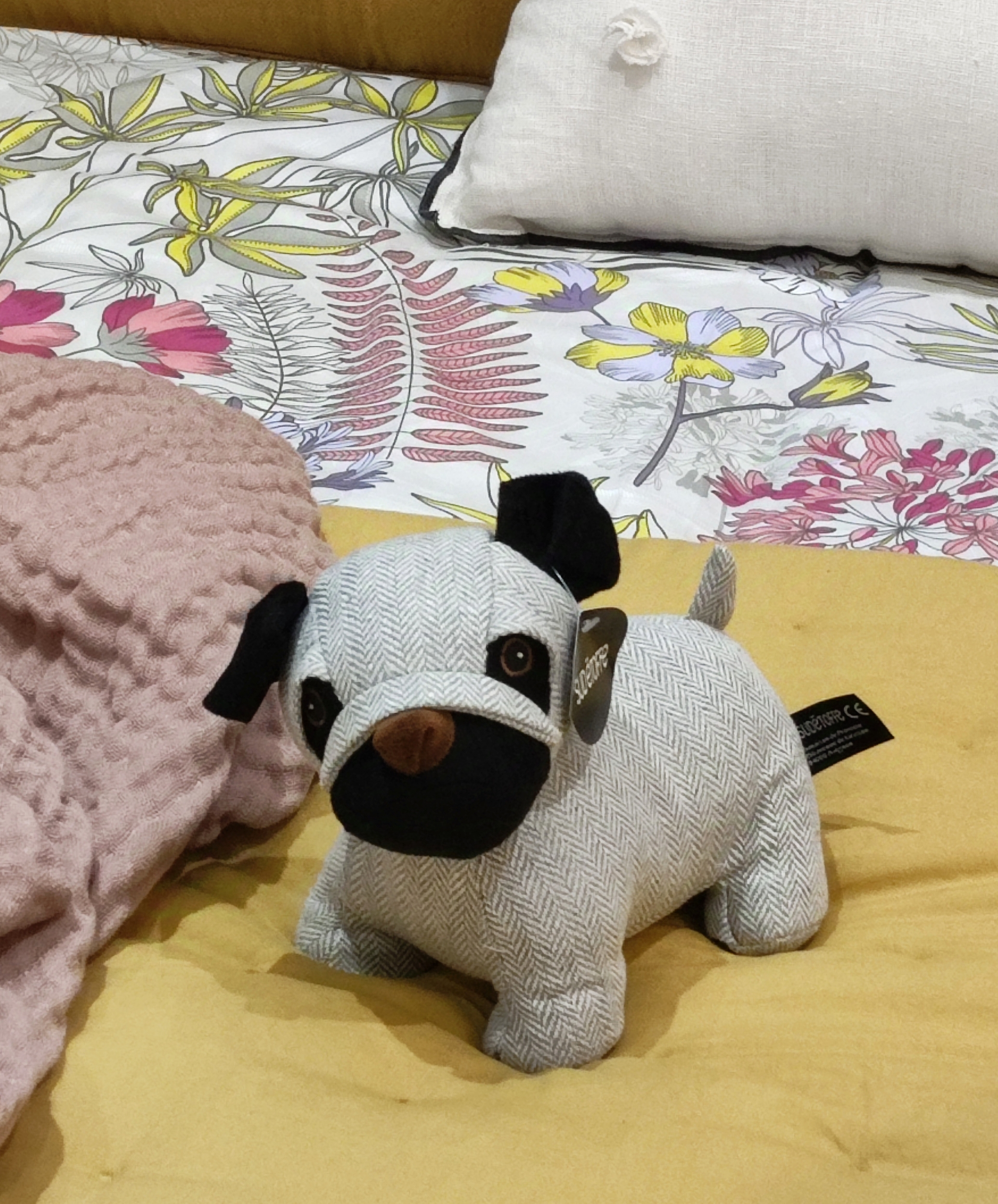 cale-porte-scottish-le-chien-sud-etoffe
