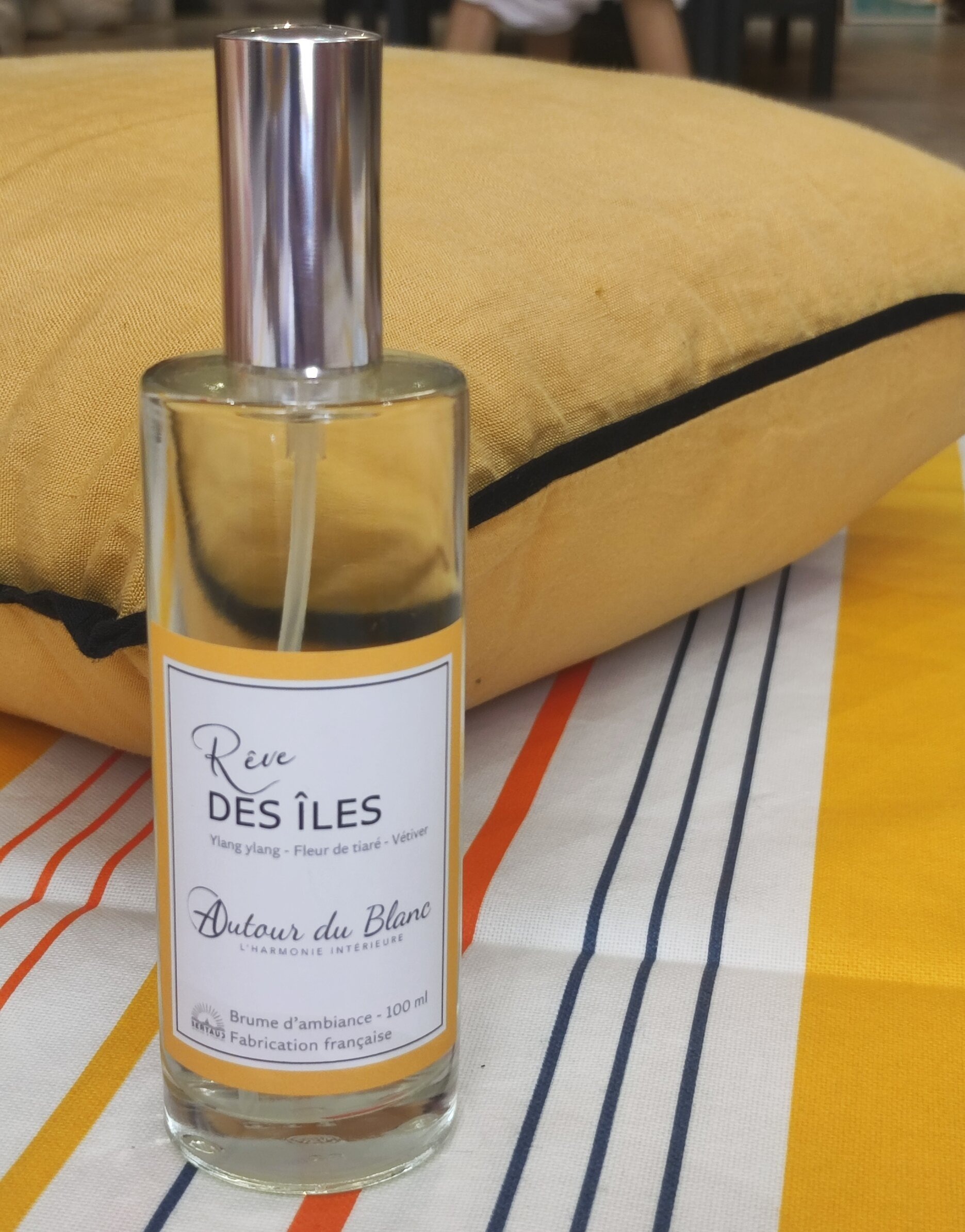 Brume-ambiance-reves-des-îles