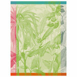 torchon_equateur_perroquet_LJF