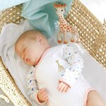body-manches-longues-brode-sophie-la-girafe-1-mois-ambiance