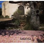 Nappe_Mimosa