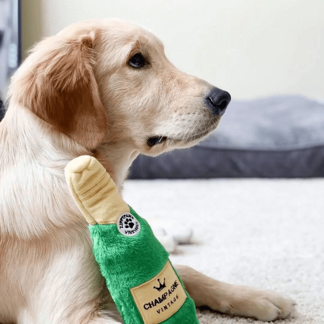 jouet-bouteille-champagne-bottle-crusherz-zippypaws-doggyplace