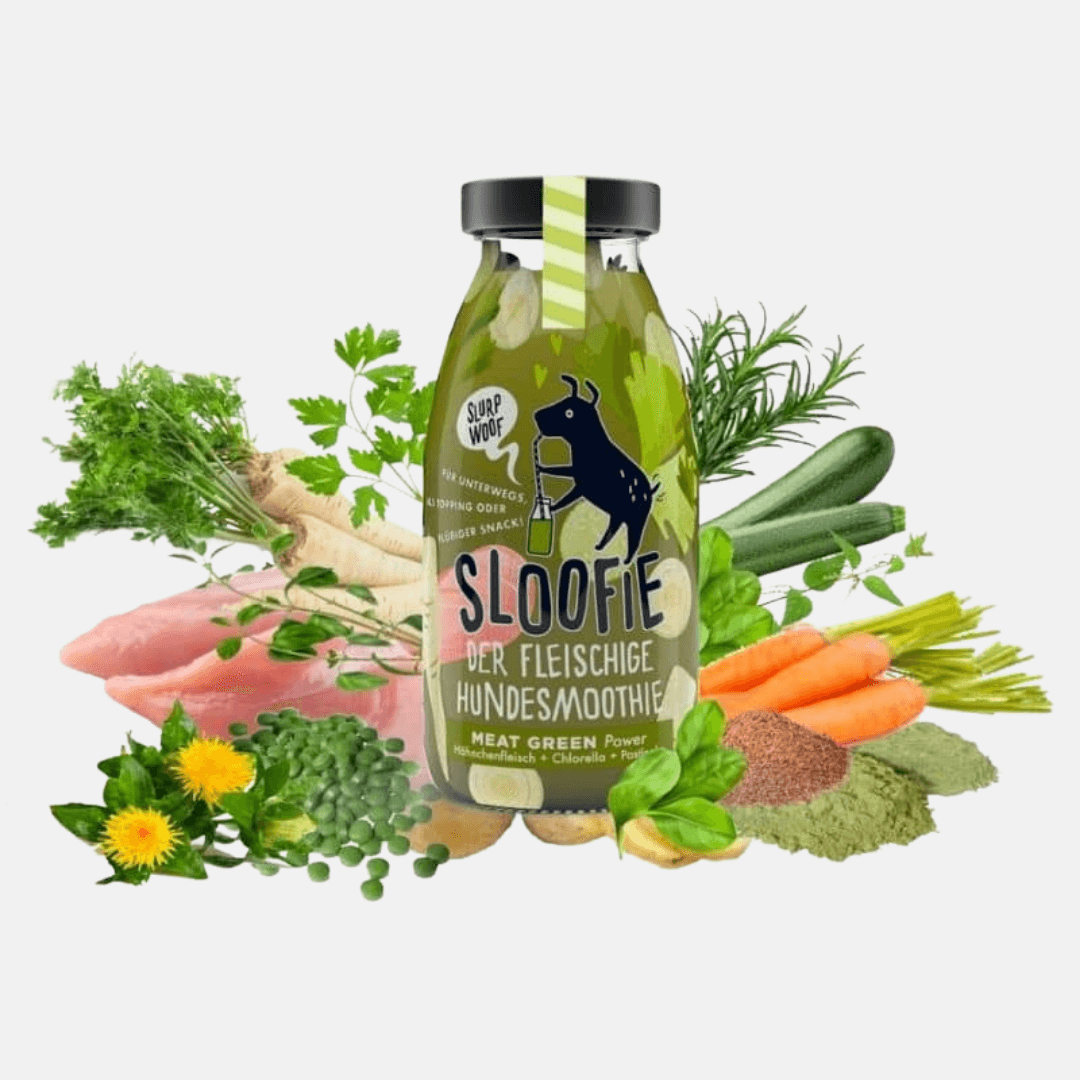 smoothie-poulet-legumes-sloofie-doggyplace
