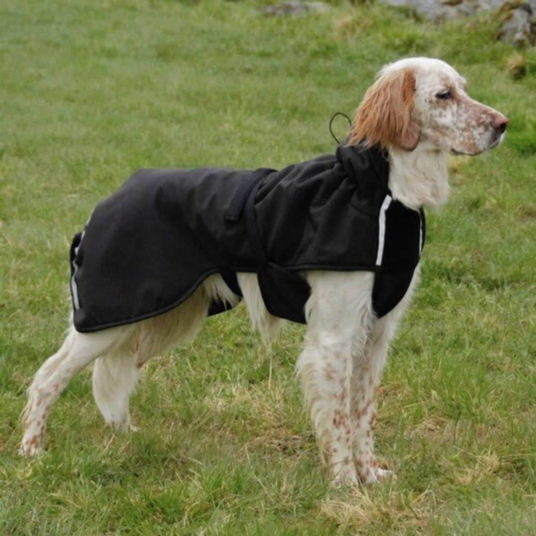 couverture-imperméable-touring-softshell-laine-merinos-doggyplace