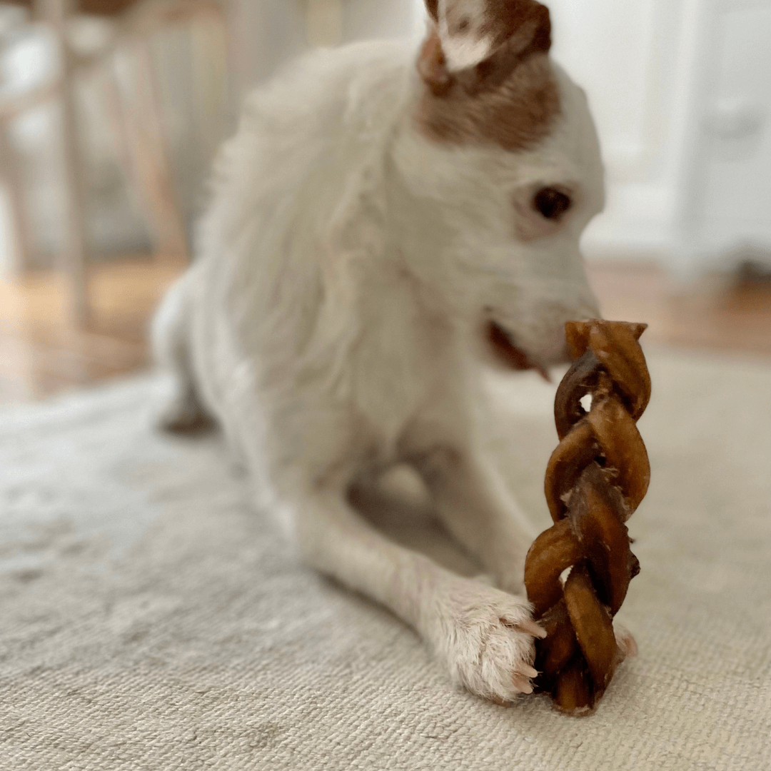nerfs-d-agneau-tresses-mastication-doggyplace