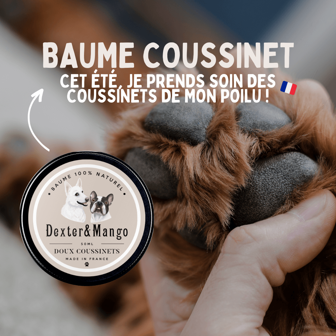 Baume Coussinet Bouledogue Français