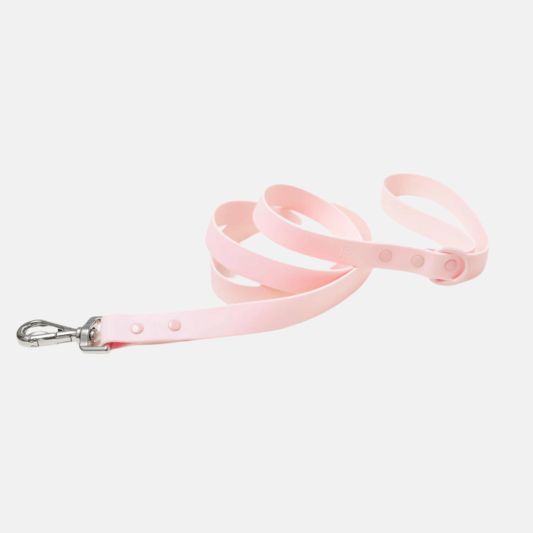 laisse-rose-sorbet-pour-chien-peachy-dogs-doggyplace