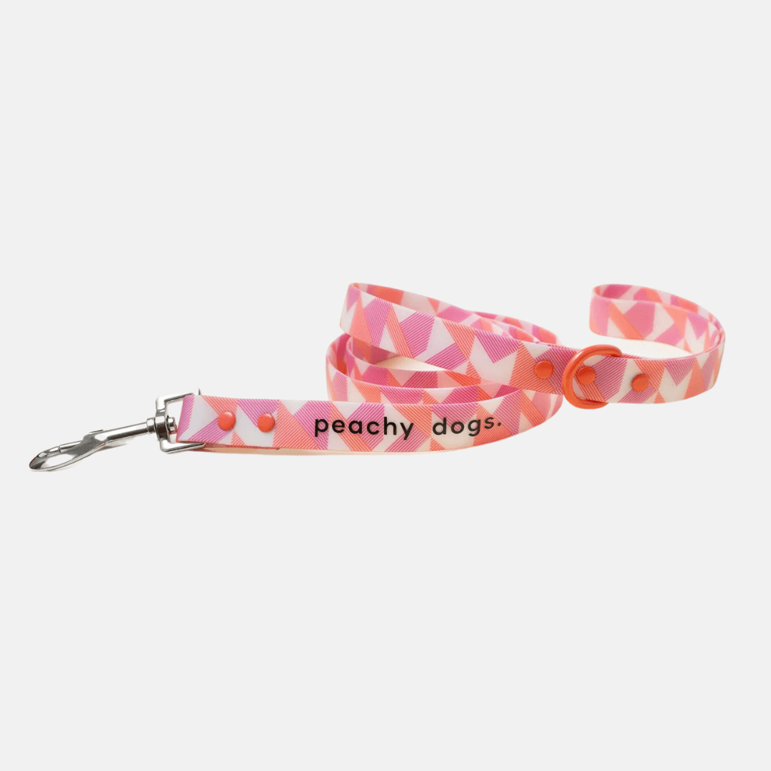 laisse-goyave-pour-chien-peachy-dogs-doggyplace